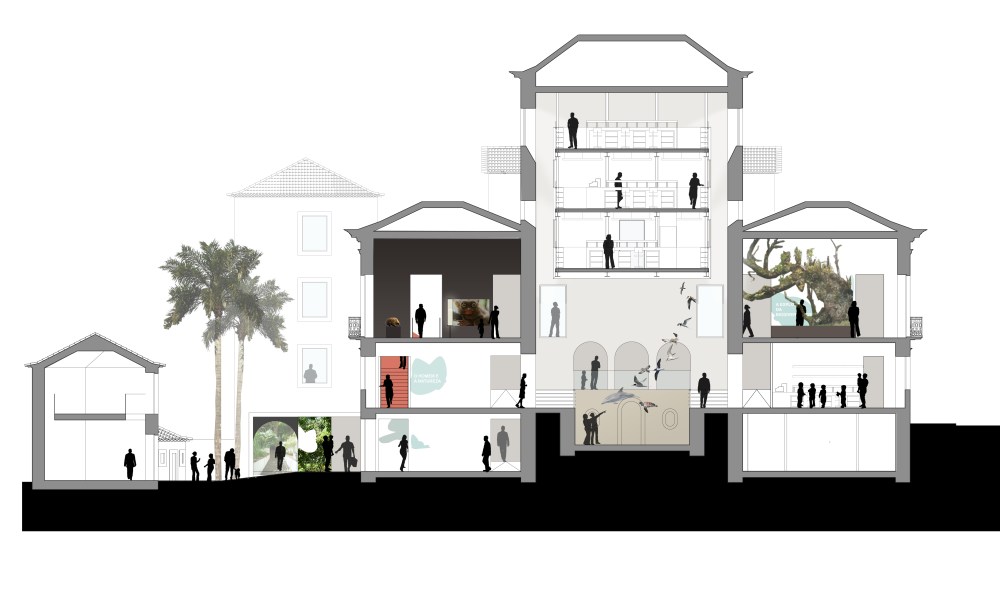 C:UserscarolinaStudioDois19 Museu municipal do funchal19