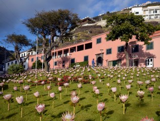 FLOWER INSTALLATION CALHETA